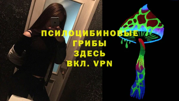 эйфоретик Балахна