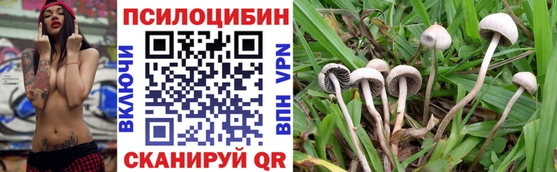 закладка Пересвет Галлюциногенные грибы ЛСД